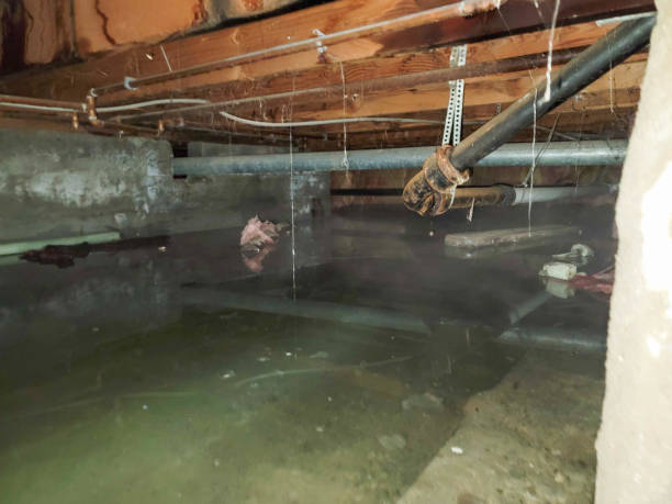 Best Water damage restoration cost  in Fairfax, MN