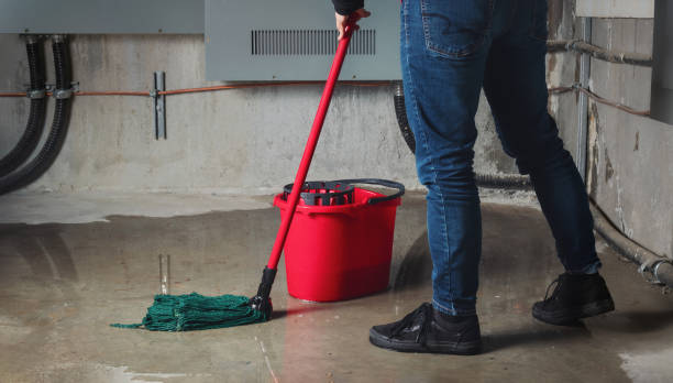 Best Emergency water damage restoration  in Fairfax, MN