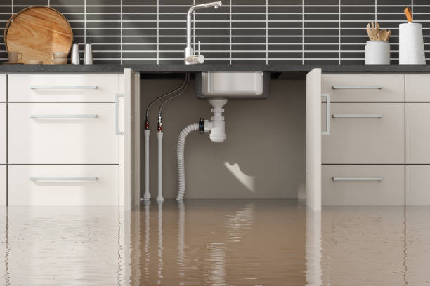 Carpet water damage restoration in Fairfax, MN