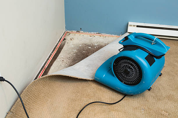 Water damage restoration process in Fairfax, MN